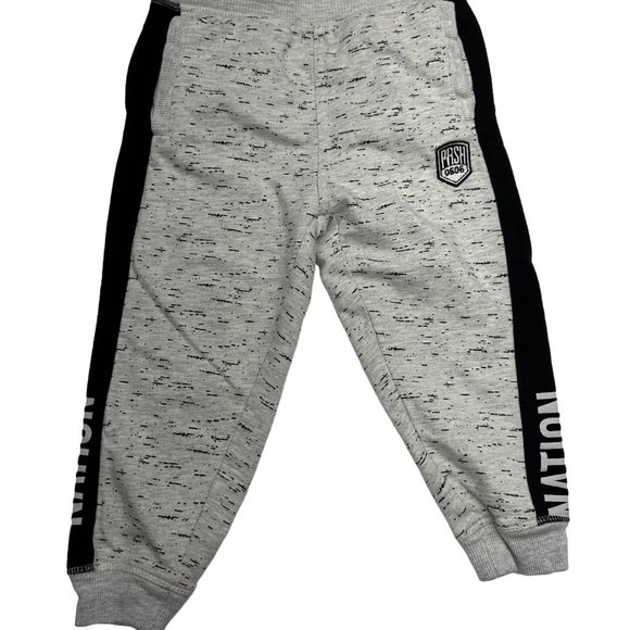 Parish Nation Zip Up Hoodie and Jogger Set (4T) - Picture 2 of 12